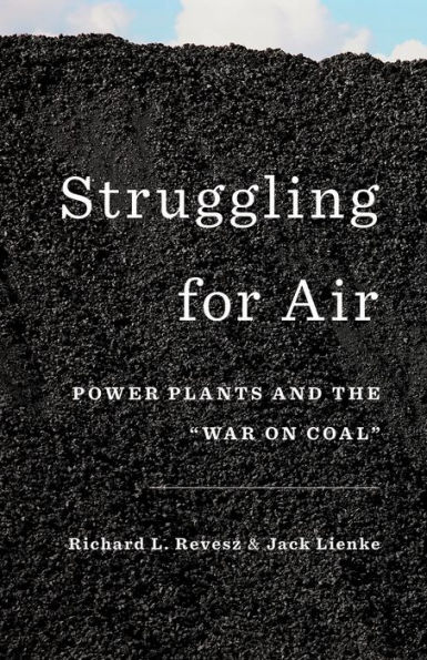 Struggling for Air: Power Plants and the 