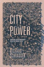 City Power: Urban Governance in a Global Age