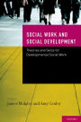 Social Work and Social Development: Theories and Skills for Developmental Social Work