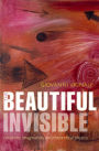 The Beautiful Invisible: Creativity, imagination, and theoretical physics