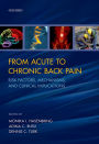 From Acute to Chronic Back Pain: Risk Factors, Mechanisms, and Clinical Implications