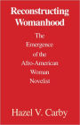 Reconstructing Womanhood: The Emergence of the Afro-American Woman Novelist / Edition 1