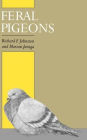 Feral Pigeons