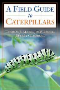 Title: Caterpillars in the Field and Garden: A Field Guide to the Butterfly Caterpillars of North America, Author: Thomas J. Allen