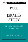 Paul in Israel's Story: Self and Community at the Cross