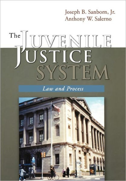 The Juvenile Justice System: Law and Process / Edition 1