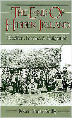 The End of Hidden Ireland: Rebellion, Famine, and Emigration