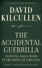 The Accidental Guerrilla: Fighting Small Wars in the Midst of a Big One