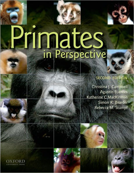 Primates in Perspective / Edition 2