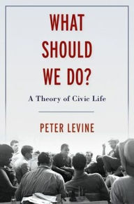 Title: What Should We Do?: A Theory of Civic Life, Author: Peter Levine