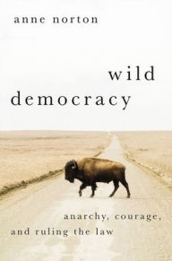 Title: Wild Democracy: Anarchy, Courage, and Ruling the Law, Author: Anne Norton