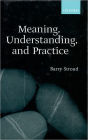 Meaning, Understanding, and Practice: Philosophical Essays