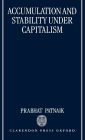 Accumulation and Stability under Capitalism