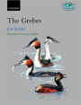Grebes: Podicipedidae