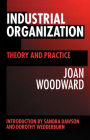 Industrial Organization: Theory and Practice / Edition 2