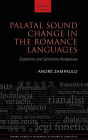 Palatal Sound Change in the Romance Languages: Synchronic and Diachronic Perspectives