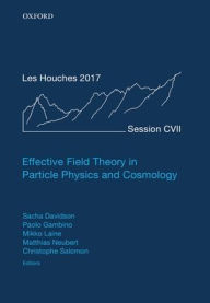 Title: Effective Field Theory in Particle Physics and Cosmology: Lecture Notes of the Les Houches Summer School: Volume 108, July 2017, Author: Sacha Davidson