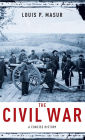 The Civil War: A Concise History