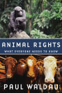Animal Rights: What Everyone Needs to Know?