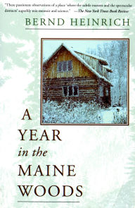 Title: A Year In The Maine Woods, Author: Bernd Heinrich