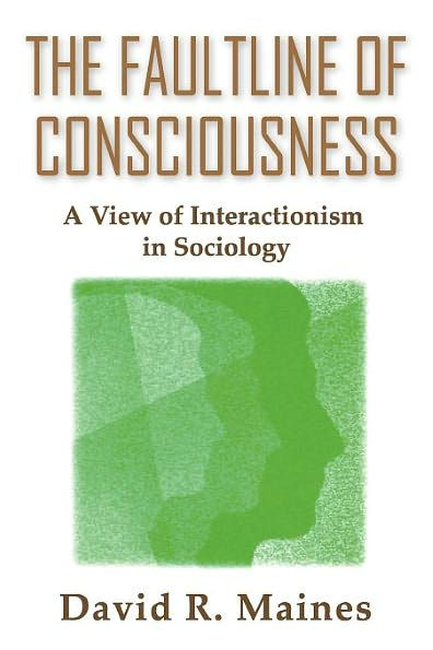 The Faultline of Consciousness: A View of Interactionism in Sociology / Edition 1