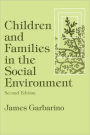 Children and Families in the Social Environment: Modern Applications of Social Work / Edition 2