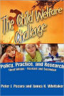 The Child Welfare Challenge: Policy, Practice, and Research / Edition 3