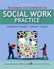 Techniques and Guidelines for Social Work Practice / Edition 8