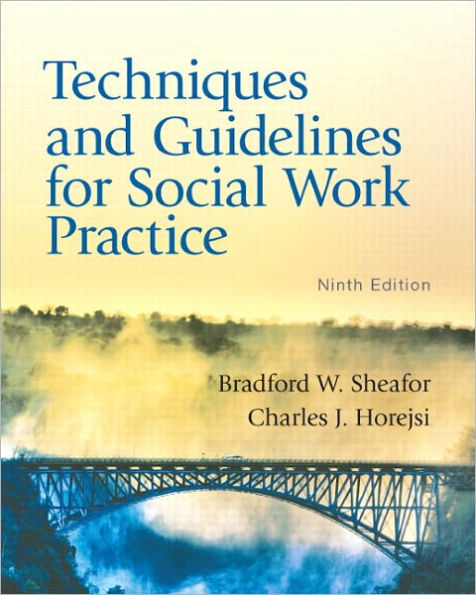Techniques and Guidelines for Social Work Practice / Edition 9