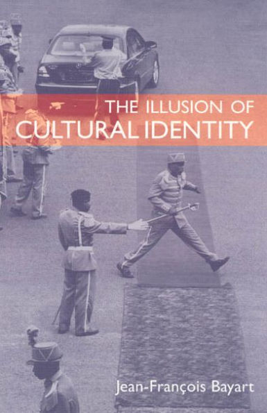The Illusion of Cultural Identity / Edition 1