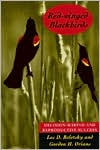 Red-winged Blackbirds: Decision-making and Reproductive Success