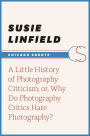 A Little History of Photography Criticism; or, Why Do Photography Critics Hate Photography?