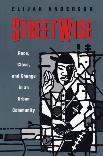 Streetwise: Race, Class, and Change in an Urban Community