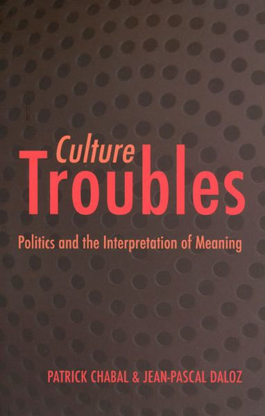 Culture Troubles Politics and the Interpretation of Meaning by Patrick