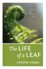 The Life of a Leaf