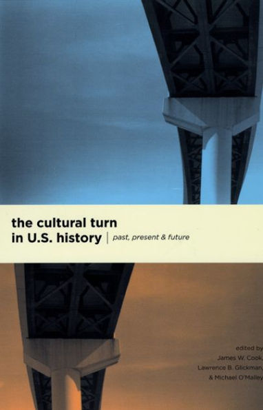 The Cultural Turn in U. S. History: Past, Present, and Future / Edition 2