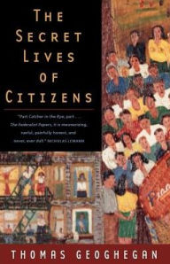 The Secret Lives of Citizens: Pursuing the Promise of American Life / Edition 1
