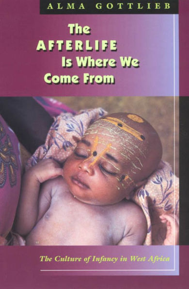 The Afterlife Is Where We Come From
