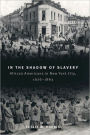 In the Shadow of Slavery: African Americans in New York City, 1626-1863