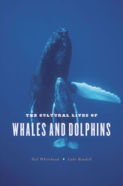 The Cultural Lives of Whales and Dolphins by Hal Whitehead, Luke Rendell,  Paperback