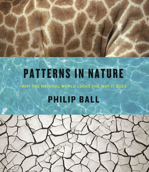 Patterns in Nature: Why the Natural World Looks the Way It Does