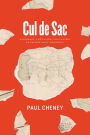 Cul de Sac: Patrimony, Capitalism, and Slavery in French Saint-Domingue