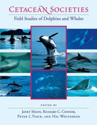 Title: Cetacean Societies: Field Studies of Dolphins and Whales / Edition 1, Author: Janet Mann