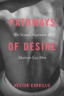 Pathways of Desire: The Sexual Migration of Mexican Gay Men