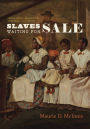 Slaves Waiting for Sale: Abolitionist Art and the American Slave Trade