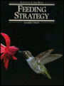 Feeding Strategy