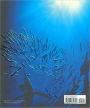 Alternative view 3 of Fishes of the Open Ocean: A Natural History and Illustrated Guide