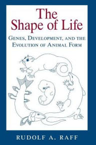 Title: The Shape of Life: Genes, Development, and the Evolution of Animal Form / Edition 1, Author: Rudolf A. Raff