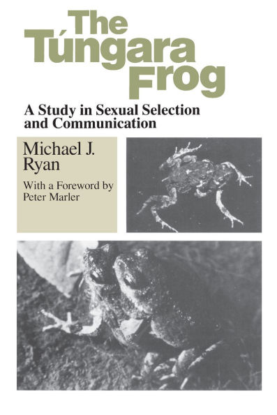 The Tungara Frog: A Study in Sexual Selection and Communication