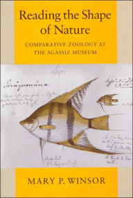 Title: Reading the Shape of Nature: Comparative Zoology at the Agassiz Museum, Author: Mary P. Winsor